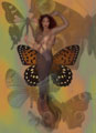 BeautifulImages/butterfly_queen.jpg